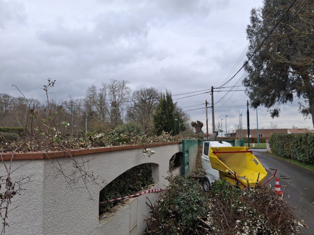 Broyage et benne d'évacuation des déchets verts