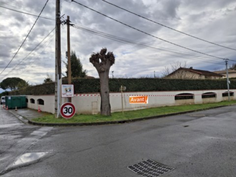 Rabattage et broyage de Haie