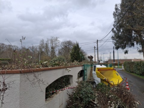 Broyage et benne d'évacuation des déchets verts
