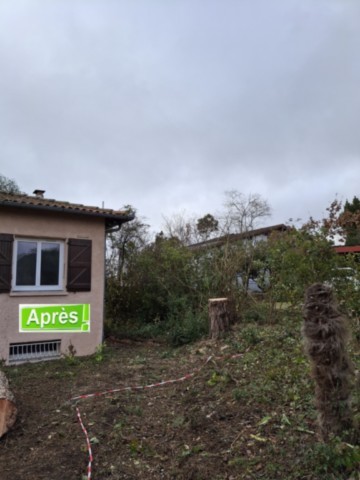 Démontage Abattage en rétention Pin